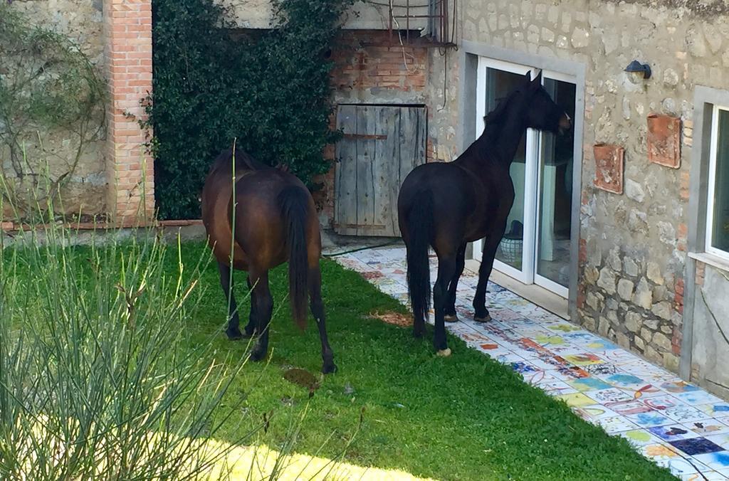 Willa Agriturismo La Valentina Nuova Talamone Zewnętrze zdjęcie