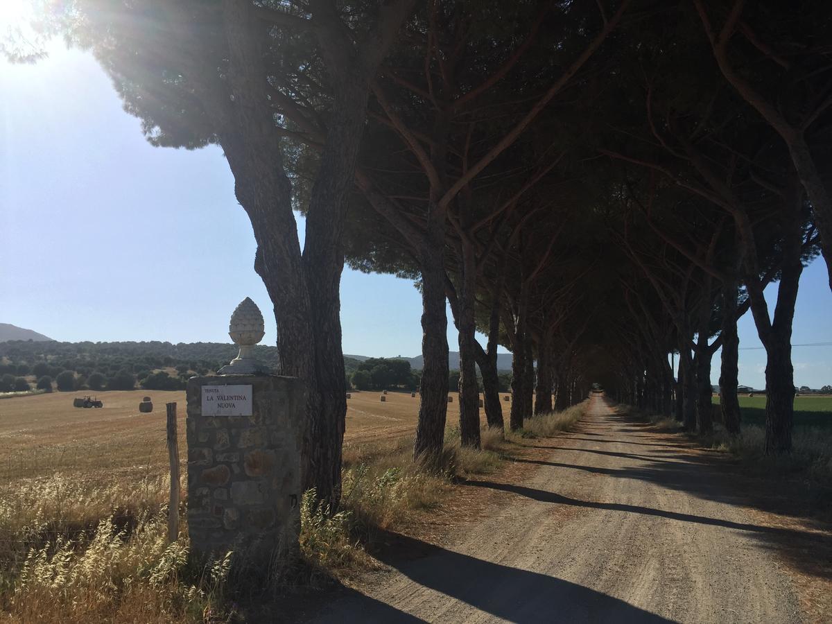 Willa Agriturismo La Valentina Nuova Talamone Zewnętrze zdjęcie